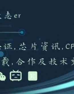 寒武纪业务及2024年度财务