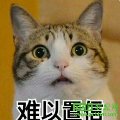 +08:00C1158917..png