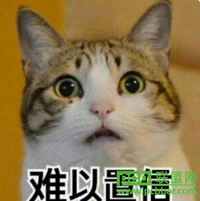 +08:00C1162133..png