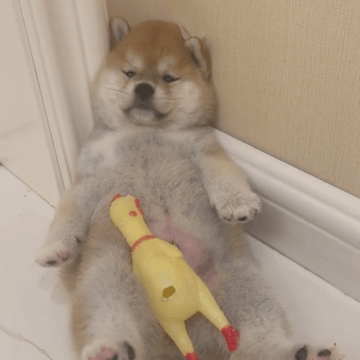 Ϊɶ˵Ҫѧģ磬ҸһҲûѧѽ-1.jpg