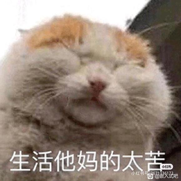 ҪҪתǶʽ-1.jpg