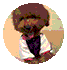 bcfzziqq0rs6401341420.gif