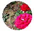 oamkcgw1mer6401341520.gif