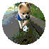 pml0q1v3d126401348848.gif