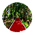 kub33qb40e56401369545.gif
