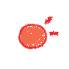 b11vzmdcm4164020848312.gif