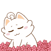 urxbxfpnvp164023846031.gif