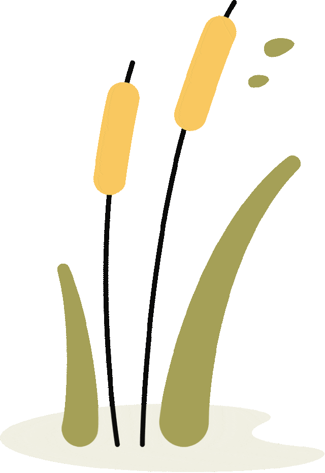 zr4kcfvtjbg64026856916.gif