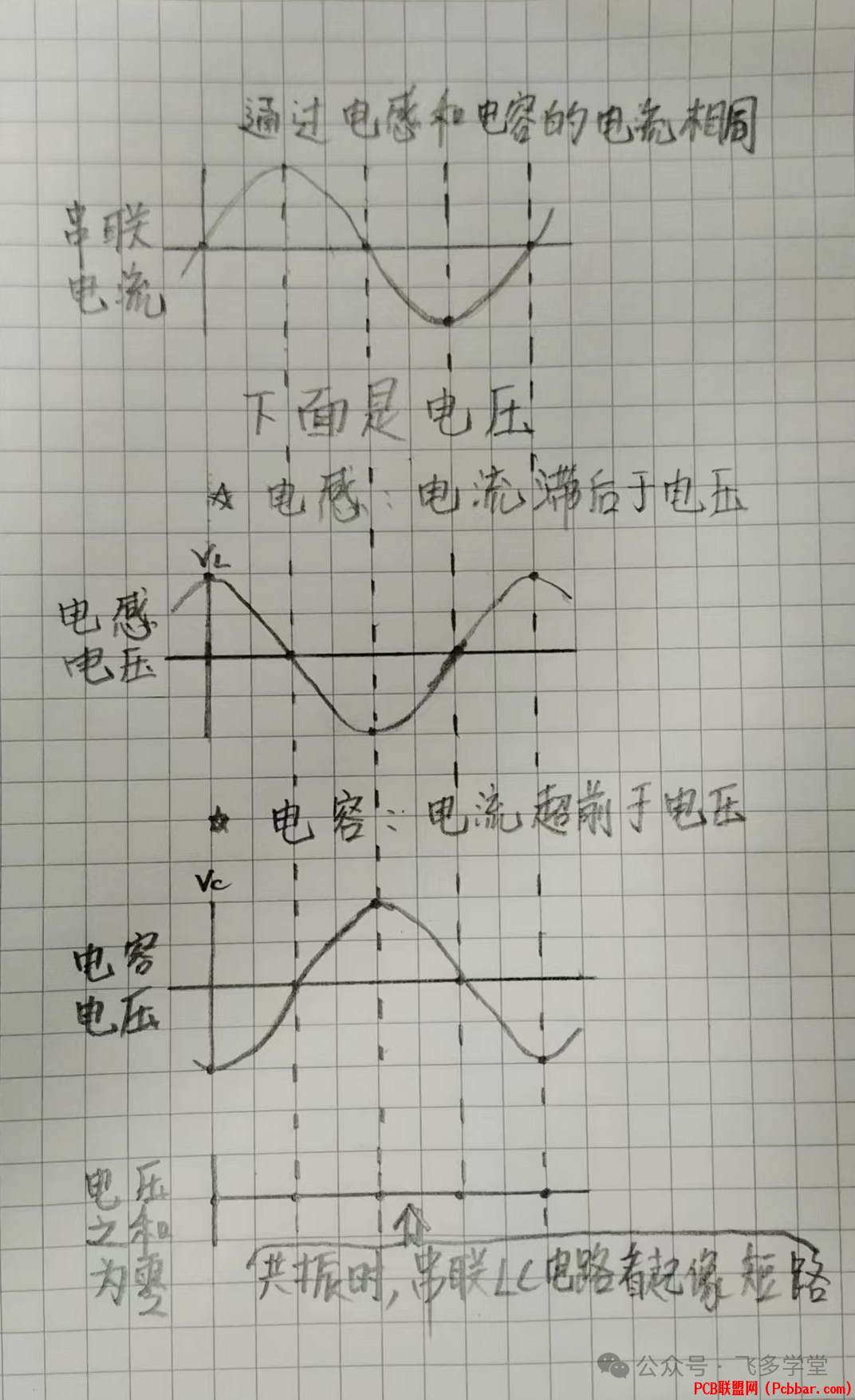 xpetdal3wqm64012311.png