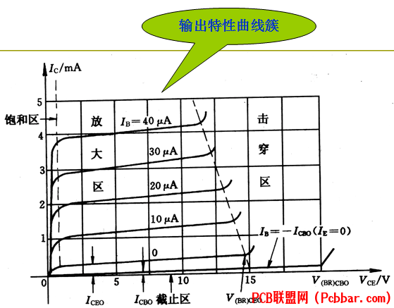 tejuantpm3564088655329.png