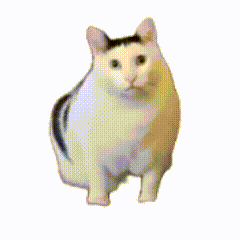 vqfkackua406403233450.gif