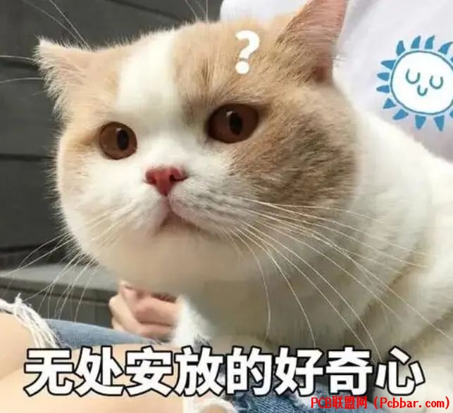 hiegagtofo364081601123.jpg