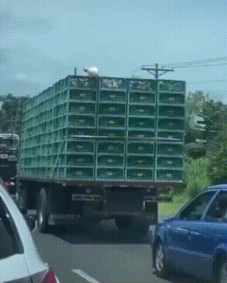 ndswma1n34v64014403809.gif